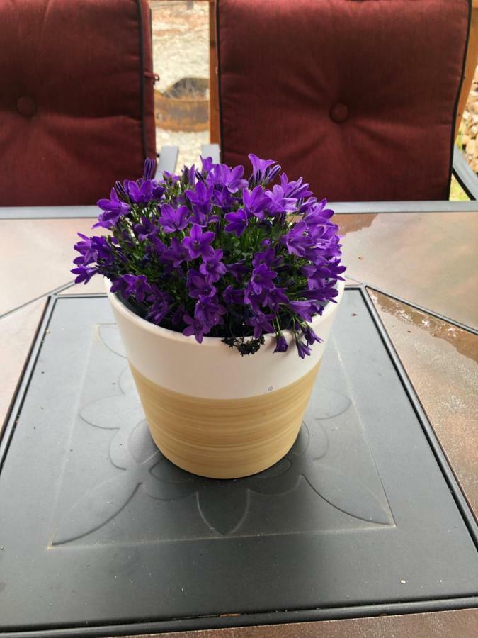 فيلا Peaceful Talkeetna Getaway #3 المظهر الخارجي الصورة